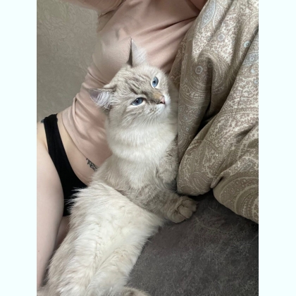  o  p  